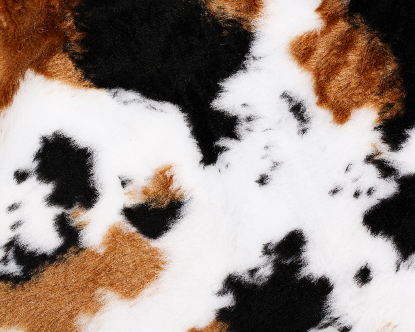 Cow Print (Multiple Design Options)